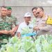 Urban Farming Green House Rusunawa Marunda