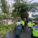 Sigap, Personel Polsek Ciputat dan Sat Lantas Polres Tangsel Evakuasi Pohon Tumbang di Ciputat