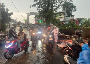 Anggota Polres Metro Depok Bekerja Sama Mengevakuasi Pohon Tumbang dan Baliho yang Rubuh Pasca Hujan Deras