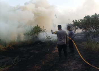 Bhabinkamtibmas Pulau Pari Bantu Damkar Padamkan Kebakaran Lahan Ilalang di Pantai Perawan