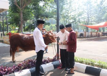 Berbagi Kebahagiaan Idul Adha, Polres Metro Jakarta Pusat Siapkan 33 Ekor Sapi