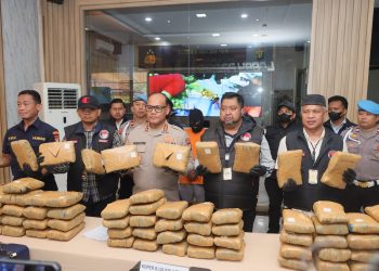 Polres  Metro Jakarta Utara Gagalkan Peredaran Ganja Seberat 77 Kg