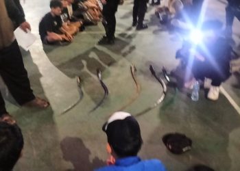 Polsek Cakung Amankan 25 Remaja Diduga Terlibat Tawuran di Cakung Barat
