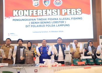 KKP Apresiasi Polda Lampung Ungkap Penyelundupan Baby Lobster