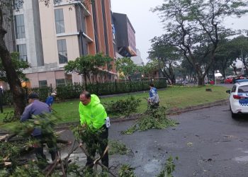 Satlantas Polres Tangsel Evakuasi Pohon Tumbang di Jl. Jendral Sudirman, Bintaro