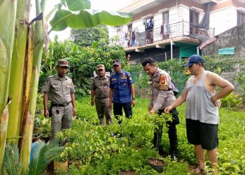 Dukung Program Ketahanan Pangan, Bhabinkamtibmas Kota Bambu Selatan bersama 3 Pilar Tinjau Tinjau Lahan Warga
