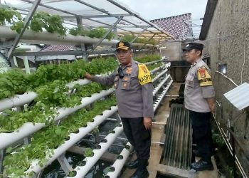 Kapolsek Ciledug Tinjau Ketahanan Pangan di KWT Belimbing Parung Serab