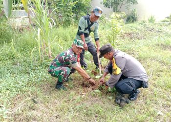 Dukung Ketahanan Pangan, Polsek Pondok Gede dan 3 Pilar Tanam 100 Pohon Sukun di Jatimelati
