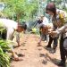 Kapolres Kepulauan Seribu Dukung Ketahanan Pangan, Tanam Benih di Pulau Karya