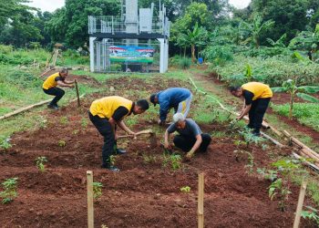 Dukung ketahanan pangan nasional, Polsek Pulogadung tanam berbagai macam tanaman