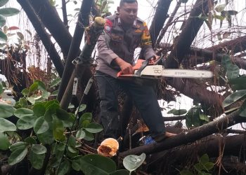 Aksi Heroik Bhabinkamtibmas Jatiwaringain Bripka Wardoyo Evakuasi Korban dan Pohon Tumbang di Pondok Gede