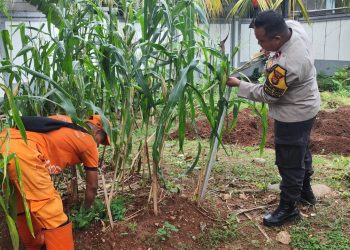 Pengecekan Lahan Ketahanan Pangan oleh Bhabinkamtibmas
