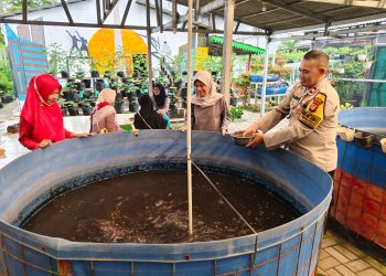 Rutin lakukan Pembinaan Poktan dalam ketahanan pangan, panen terong pun melimpah