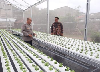 Bhabinkamtibmas Sambangi Kebun Hidroponik di Petukangan Selatan, Dukung Ketahanan Pangan