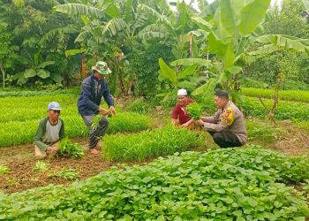 Bhabinkamtibmas Cakung Timur Dukung Ketahanan Pangan melalui Pembinaan Pekarangan