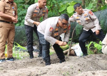 Kapolres Kepulauan Seribu Tinjau Lahan Jagung di Pulau Karya Dukung Ketahanan Pangan