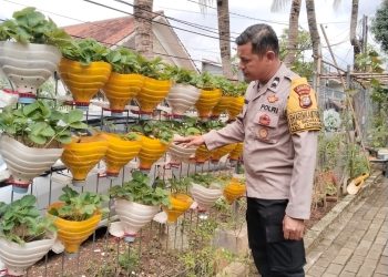 Bhabinkamtibmas Bidaracina Sosialisasikan Program Ketahanan Pangan dan Keamanan Lingkungan