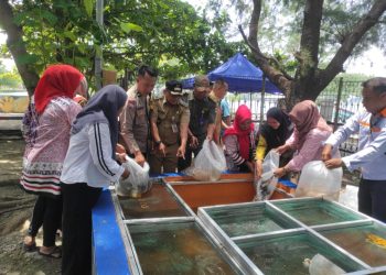 Bhabinkamtibmas Pulau Kelapa Dampingi Lurah Tabur Benih Ikan dalam Program Ketahanan Pangan