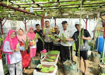 Bhabinkamtibmas Panen Sayur dan Bina Poktan di Kelas Berkebun Polsek Matraman