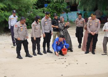 Kapolres Kepulauan Seribu Lepas Penyu Sisik di Pulau Sabira, Wujud Kepedulian Terhadap Ekosistem Laut