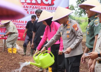 Polres Metro Jakarta Utara dan Polsek Cilincing Dukung Program Ketahanan Pangan dengan Penanaman Kangkung di Balai Pertanian Sukapura