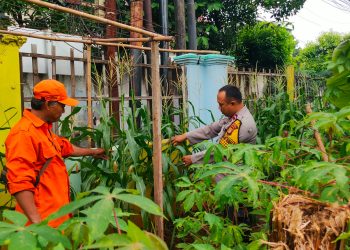 Dukung Kemandirian Pangan, Polsek Makasar Lakukan Pembinaan Langsung ke Lahan Ketahanan Pangan Bergizi