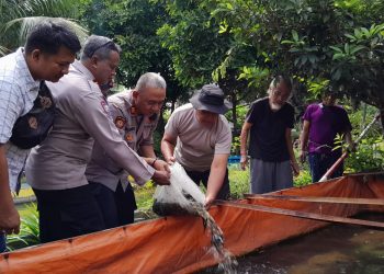 Polsek Kemayoran Tebar Lele dan Rawat Nila! Dukung Asta Cita Presiden Lewat Ketahanan Pangan Bergizi
