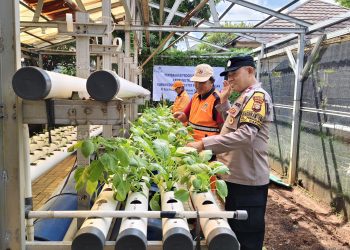 Dukung Program Ketahanan Pangan, Bhabinkamtibmas Cakung Lakukan Pembinaan Pekarangan Bergizi