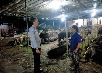 Cegah Pencurian Jelang Idul Adha, Bhabinkamtibmas Kelurahan Sawah Sambangi Pedagang Hewan Qurban