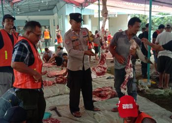 Bhabinkamtibmas Jadi Panitia Kurban, Bukti Polri Hadir di Tengah Masyarakat
