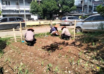 Polsek Senen Dorong Ketahanan Pangan Lewat Tanam Jagung di Paseban