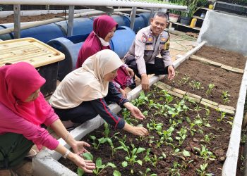 Dukung Program Asta Cita, Bhabinkamtibmas Cakung Bina Ketahanan Pangan di Pekarangan Warga
