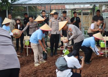 Dukung Swasembada Pangan 2025, Polda Metro Jaya Tanam Jagung di Tangerang Selatan