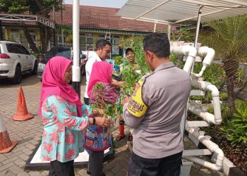 Polisi Peduli Ketahanan Pangan, Bhabinkamtibmas Pinang Ranti Dampingi Warga Panen Kangkung Hidroponik