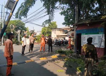 Cegah Pohon Tumbang dan Gangguan Kamtibmas, Bhabinkamtibmas Palmeriam Lakukan Monitoring dan Sosialisasi Bersama Warga