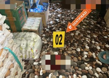 Warga Sipil Tewas Ditembak KKB di Intan Jaya, Satgas Ops Damai Cartenz Buru Pelaku