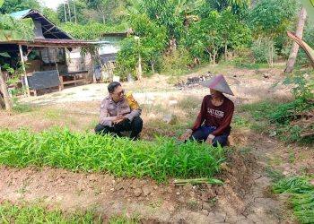 Bhabinkamtibmas Cakung Timur Bina Pekarangan Ketahanan Pangan, Dukung Program Asta Cita