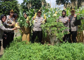 Kapolres Metro Jakarta Selatan Cek Lokasi Ketahanan Pangan di Taman Alpukat, Cipedak