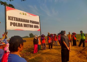 Bhabinkamtibmas dan Petani Bersama-Sama Rawat Tanaman Jagung Program Ketahanan Pangan