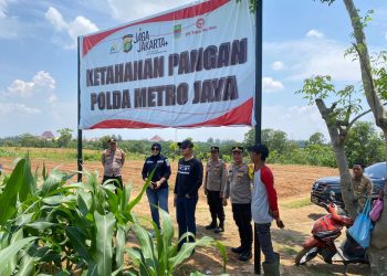 Kapolres Metro Bekasi Kombes Pol Mustofa Tinjau Lahan Jagung, Wujud Nyata Dukungan Polri terhadap Ketahanan Pangan