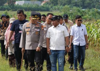 Kapolres Metro Bekasi Cek Lahan Jagung Program Ketahanan Pangan Polda Metro Jaya di Sukamahi