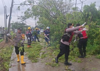 Polsek Babelan Evakuasi Pohon Tumbang di Jalan Pertamina Desa Bunibakti