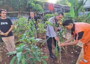 Siap Panen di Tengah Kota, Bhabinkamtibmas Pegangsaan Kawal Ketahanan Pangan di Lapangan Borobudur