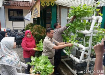 Polri Bersama Masyarakat, Panen Sayur Sawi Ciptakan Lingkungan Mandiri Pangan