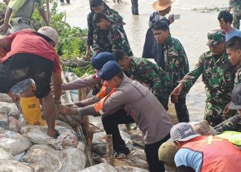 Tanggul Jebol di Muara Gembong, Brimob Bersama TNI dan Warga Bahu-Membahu Lakukan Penanganan