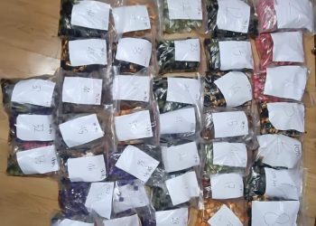 Polisi Gagalkan Peredaran Etomidate, 5.095 Cartridge Disita di Kalibata