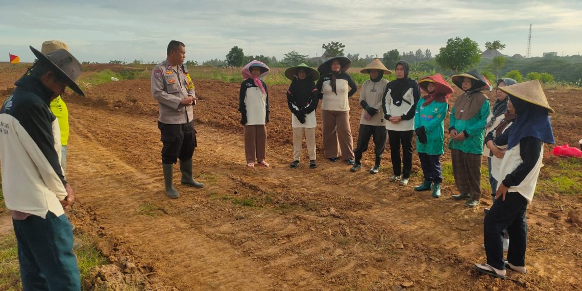 Polsek Cikarang Pusat Kawal Program Jagung Pipil 50 Hektare, Dukung Ketahanan Pangan Nasional