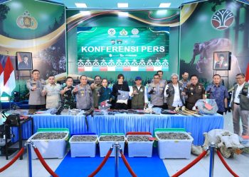 Polda Riau Bekuk 15 Tersangka Jaringan Perburuan Gajah Sumatera Lintas Provinsi