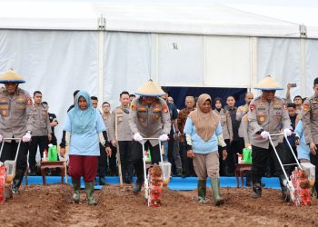 Sukses Pada Penanaman Jagung Tahun 2025, Polda Metro Jaya Menambah Jumlah Lahan Menjadi 50 Hektar pada Tanam Raya Jagung Serentak Kuartal I di Bekasi Tahun Ini