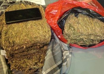 POLDA METRO JAYA MENGGAGALKAN PEREDARAN 4,3 KG GANJA DI WILAYAH DEPOK